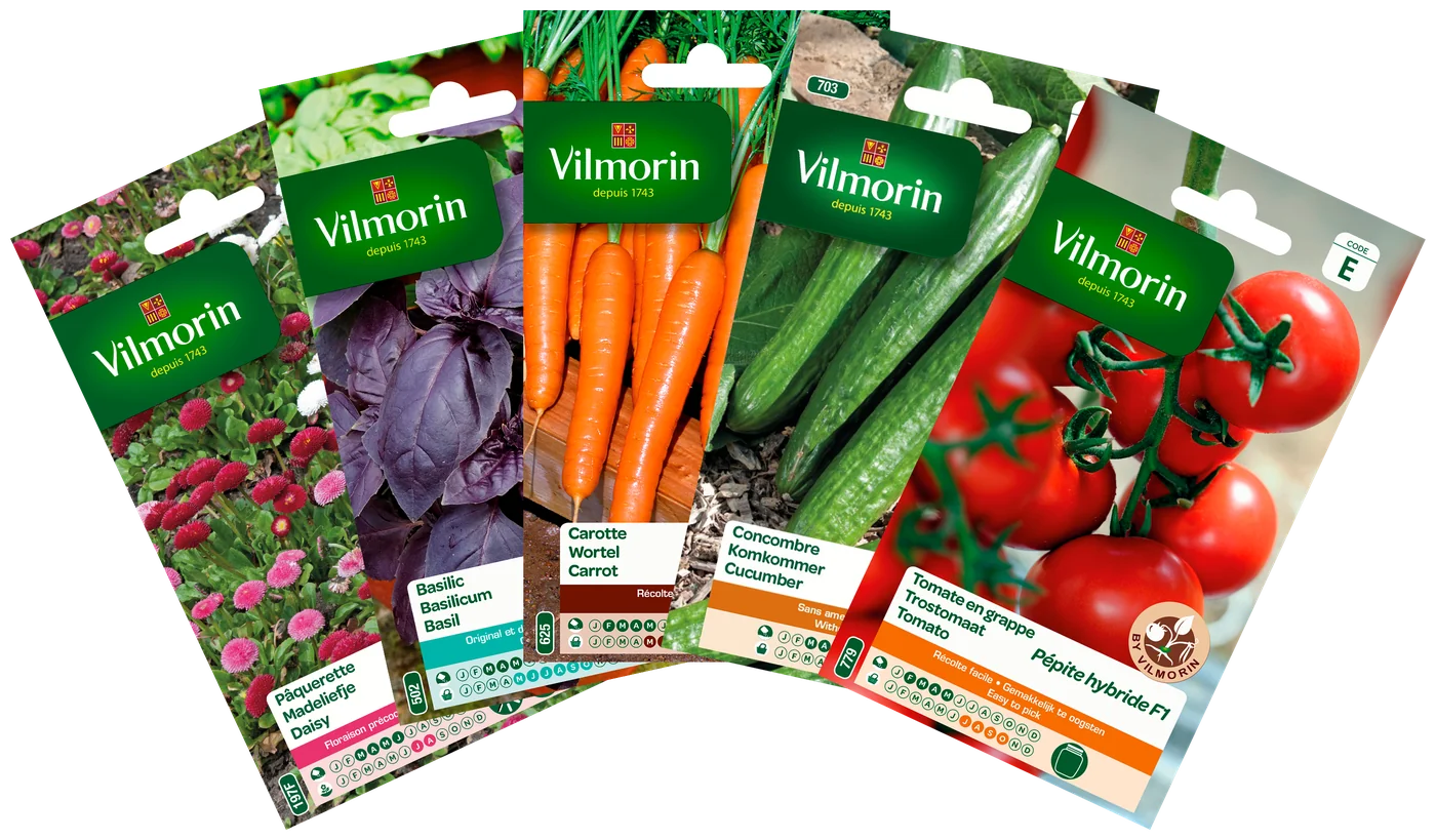 Vilmorin zaadzakjes van dichtbij