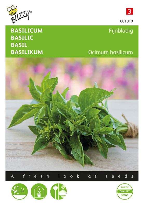Buzzy® Basilicum Fijne