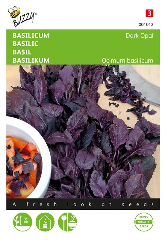 Buzzy® Basilicum Rode - Dark Opal
