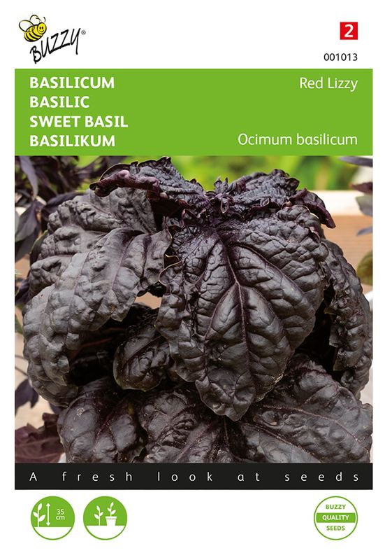 Buzzy® Basilicum Rode slabladige Red Lizzy