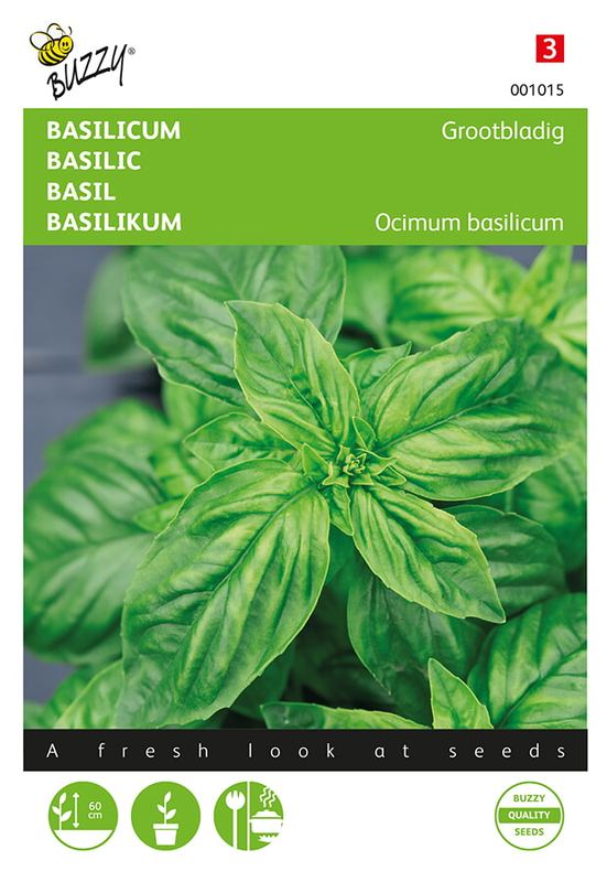 Buzzy® Basilic Grootbladig