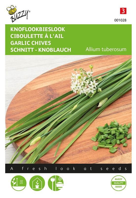 Buzzy® Chinese Knoflook - Bieslook