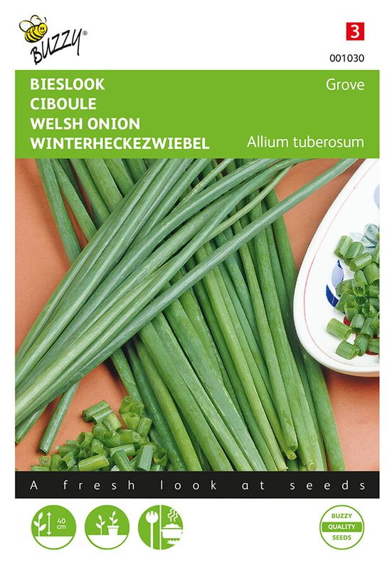 Buzzy® Ciboulette Grove
