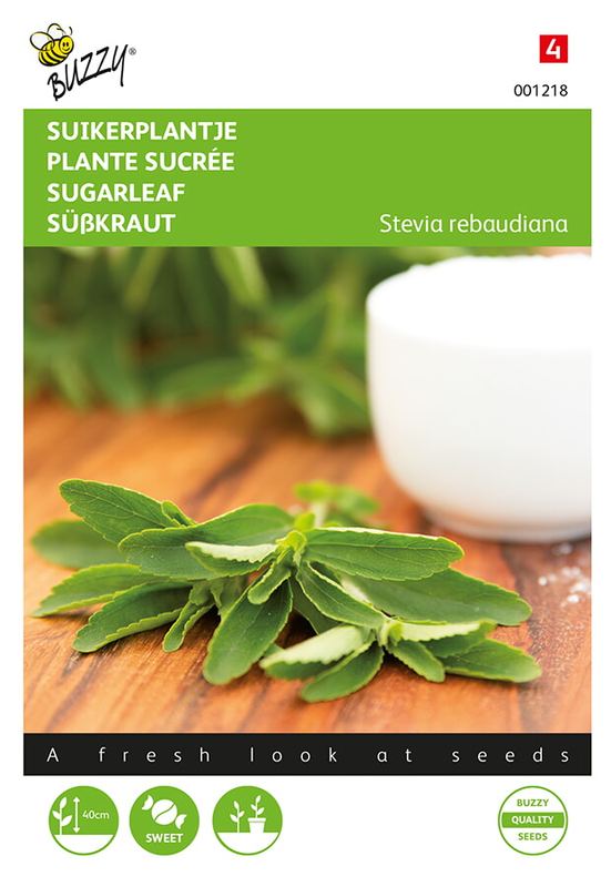 Buzzy® Stevia, Suikerplantje of Honingkruid