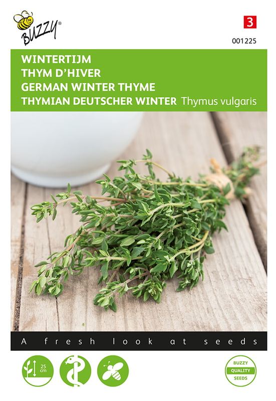 Buzzy® Tijm Echte Winter