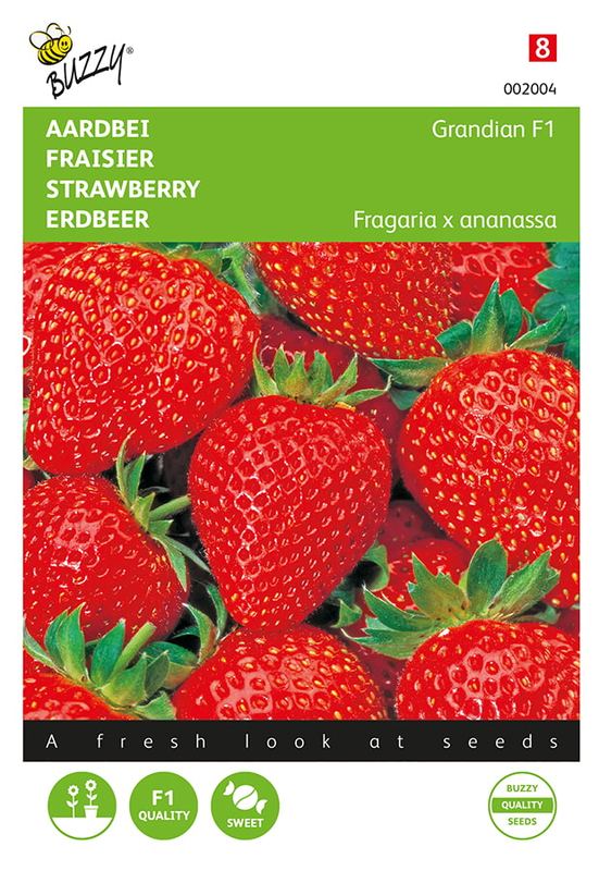 Buzzy® Aardbeien Grandian F1