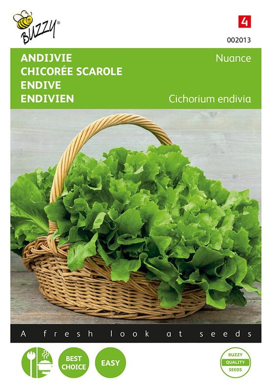 Buzzy® Chicorée scarole Nuance