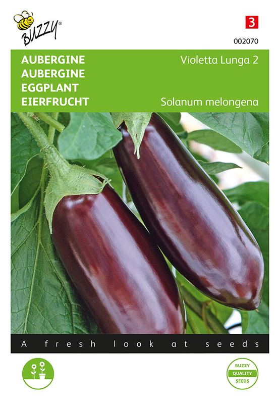 Buzzy® Aubergine Violetta Lunga 2