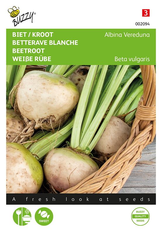 Buzzy® Betteraves Albina Vereduna blanc