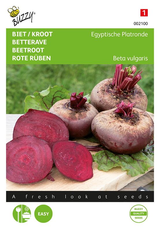 Buzzy® Betterave / Kroot Egyptische Platronde
