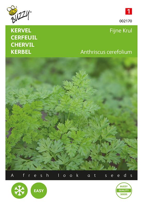 Buzzy® Kervel Fijne Krul