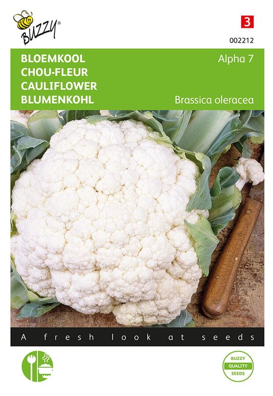 Buzzy® Chou-fleur Alpha 7