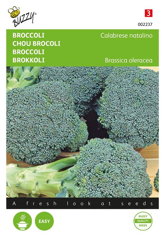 Buzzy® Broccoli Calabrese natalino, groen