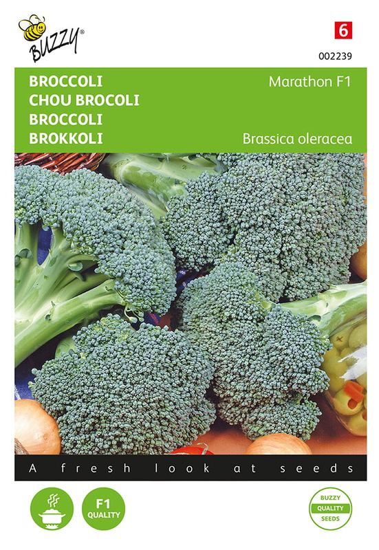 Buzzy® Broccoli Marathon F1