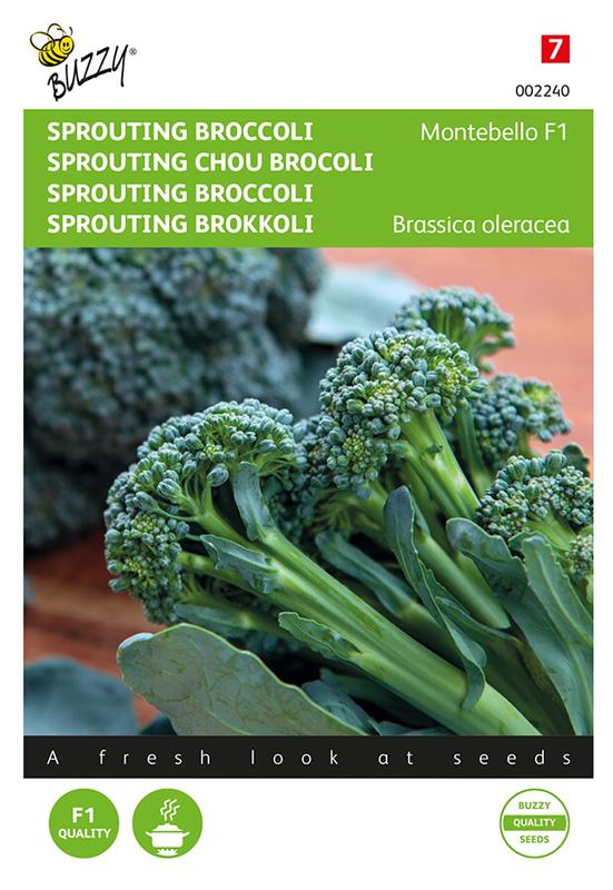 Buzzy® Sprouting Broccoli Montobello F1