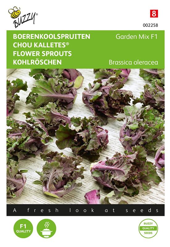 Buzzy® Boerenkoolspruitjes, Kalettes® Garden Mix F1