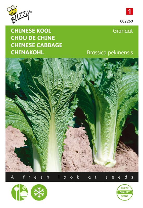 Buzzy® Chinois Chou Granaat