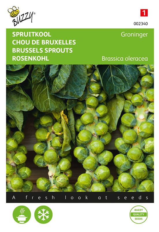 Buzzy® Spruitkool Groninger