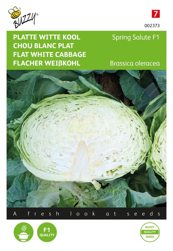 Buzzy® Platte Witte kool Spring Salute F1