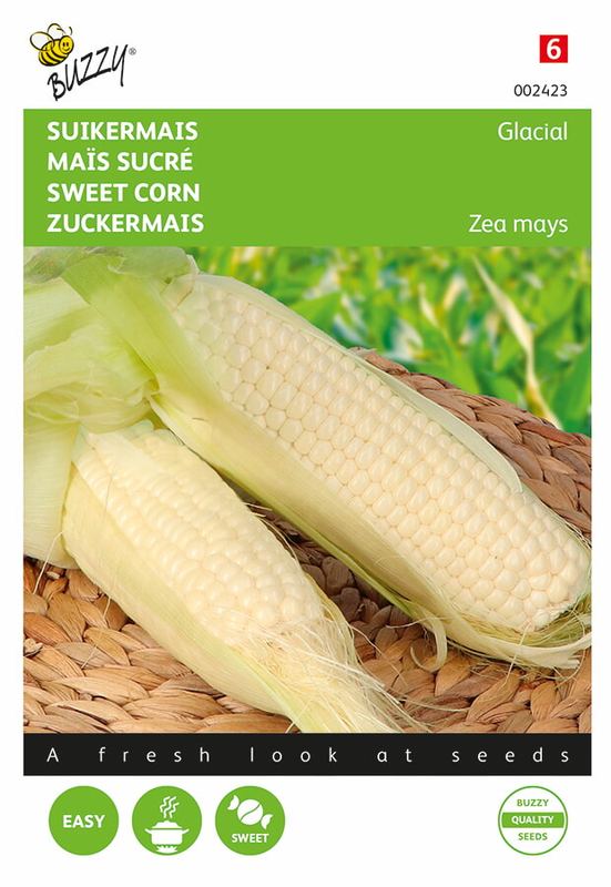 Buzzy® Witte Mais Glacial