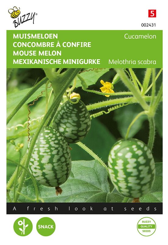 Buzzy® Muismeloen, Cucamelon