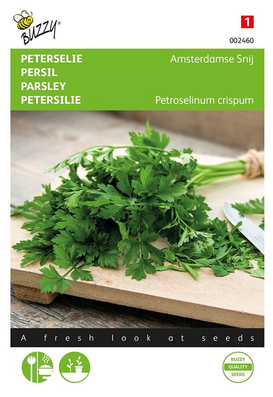 Buzzy® Peterselie Amsterdamse Snij