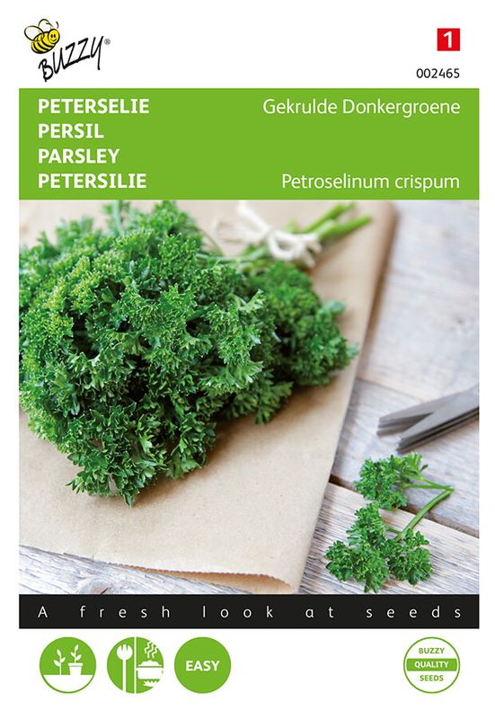 Buzzy® Persil Gekrulde Donkergroene