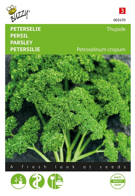 Buzzy® Peterselie Thujade, donkergroene