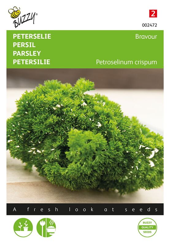 Buzzy® Peterselie Bravour