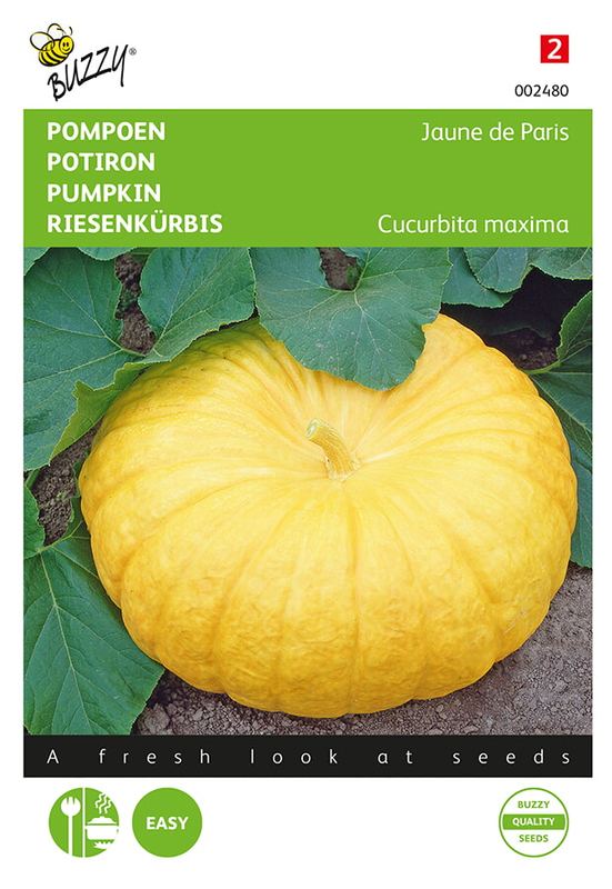 Buzzy® Pompoen Gele Reuzen