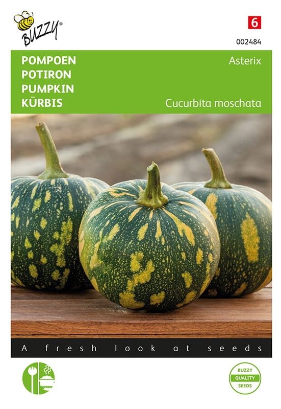 Buzzy® Pompoen Asterix (Panterprint)