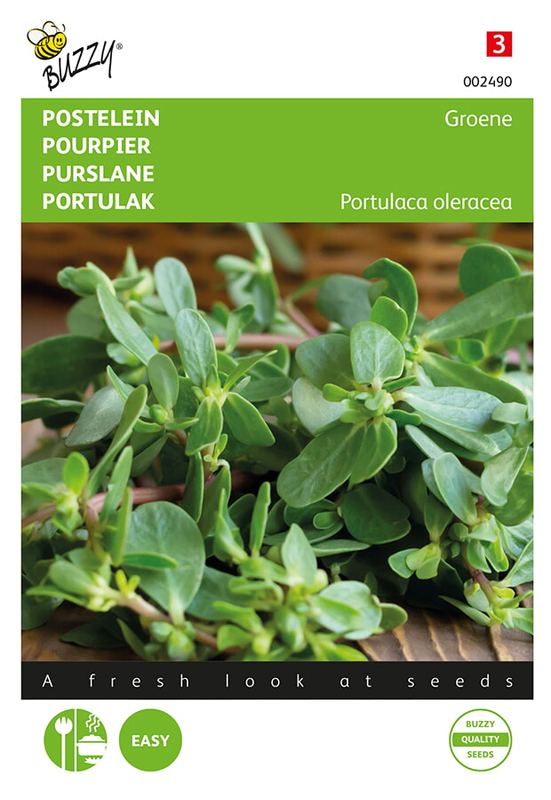 Buzzy® Postelein Groene