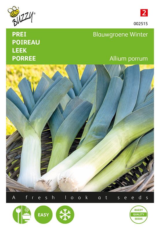 Buzzy® Prei Blauwgroene Winter