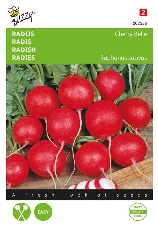 Buzzy® Radijs Cherry Belle