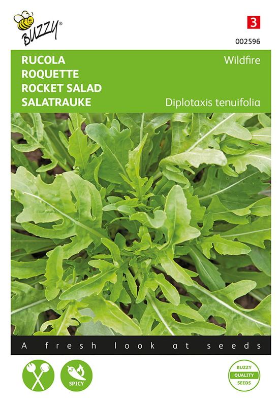Buzzy® Rucola Wasabi