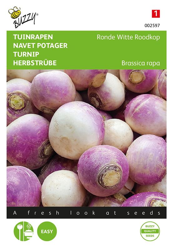 Buzzy® Navets Ronde Witte Roodkop, de Nancy