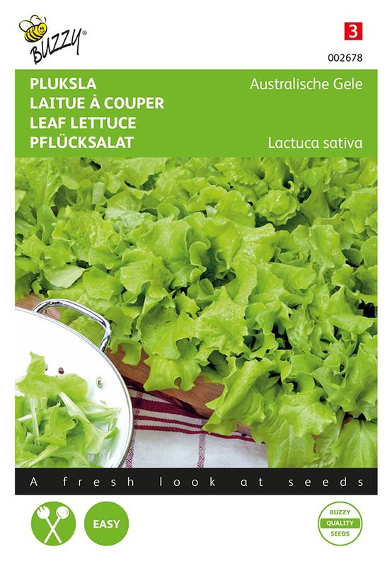 Buzzy® Laitue à cueillir Australische Gele