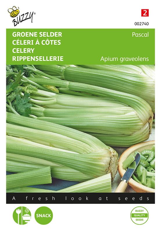 Buzzy® Bleekselderij Pascal, Groene Volpijp