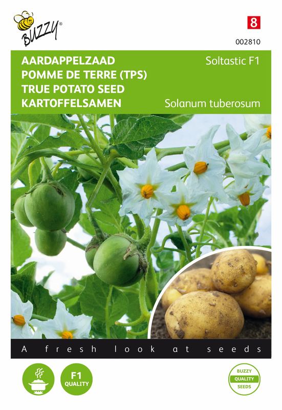 Buzzy® Aardappel uit zaad Soltastic - SOLHY012