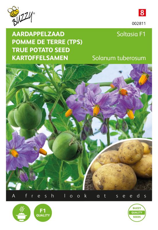 Buzzy® Aardappel uit zaad SOLHY017 - paarsbloeiend