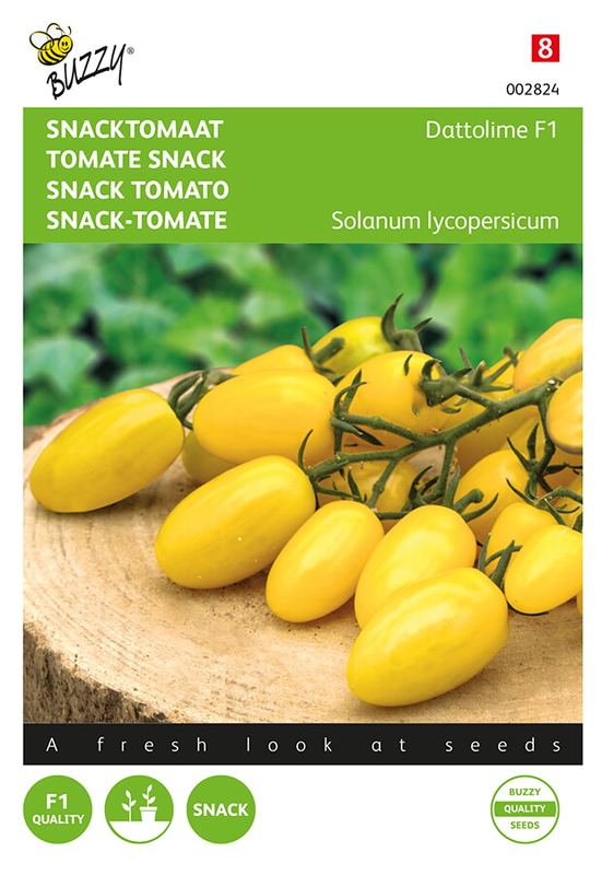 Buzzy® Snacktomaat Dattolime F1