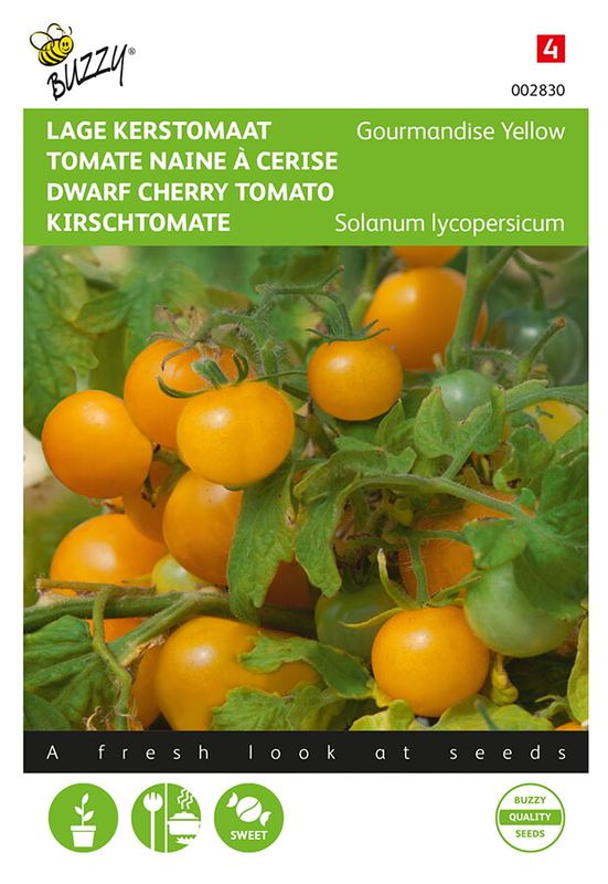 Buzzy® Tomates Gourmandise (gele cherry patio)