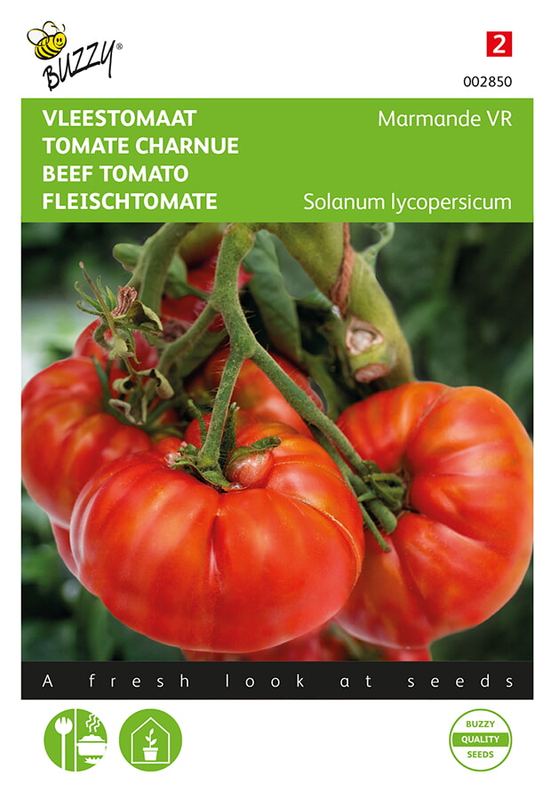 Buzzy® Vleestomaat Marmande VR