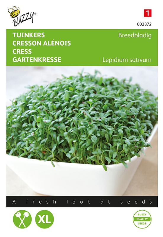Buzzy® Tuinkers Grootbladige