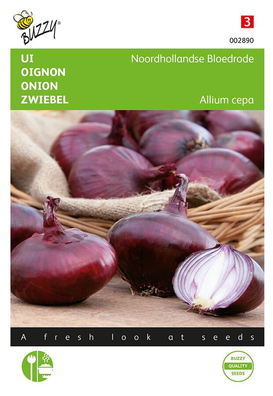 Buzzy® Ui Noordhollandse Bloedrode