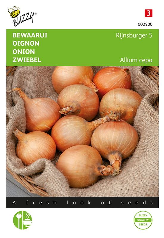 Buzzy® Ui Rijnsburger 5
