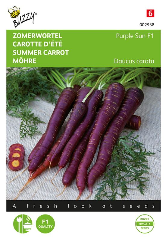 Buzzy® Wortelen Purple Elite F1 (wordt Purple Sun)