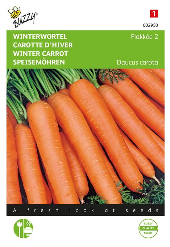Buzzy® Carottes Flakkée 2