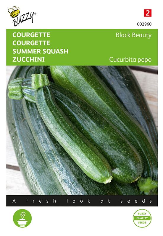 Buzzy® Courgette Black Beauty - Verte De Milan