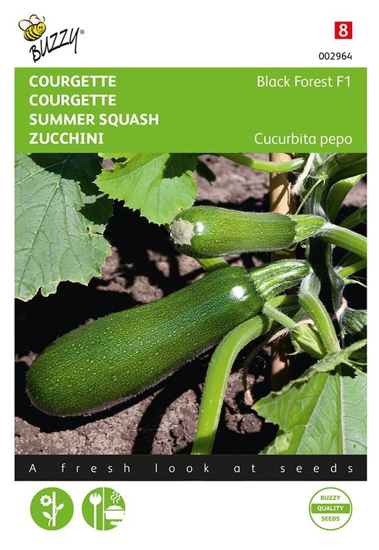 Buzzy® Courgette Klimmend Black Forest F1